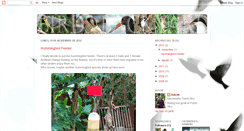 Desktop Screenshot of birdsbackyard.blogspot.com