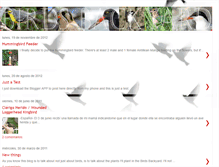 Tablet Screenshot of birdsbackyard.blogspot.com