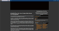 Desktop Screenshot of breeding-discus-fish-blog.blogspot.com