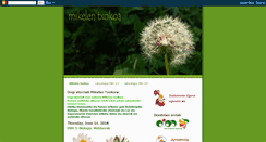 Desktop Screenshot of mikelentxokoa.blogspot.com