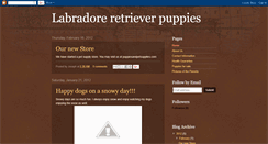 Desktop Screenshot of labradoreretrieverpuppies.blogspot.com