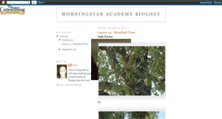 Desktop Screenshot of morningstar-academy.blogspot.com