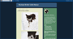 Desktop Screenshot of buckeyebordercollierescue.blogspot.com