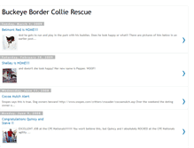 Tablet Screenshot of buckeyebordercollierescue.blogspot.com