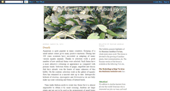 Desktop Screenshot of anubias-engl.blogspot.com