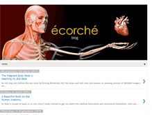 Tablet Screenshot of ecorche-anatomy.blogspot.com