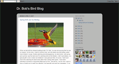 Desktop Screenshot of drbobsbirdblog.blogspot.com
