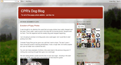 Desktop Screenshot of coloradopuppy.blogspot.com