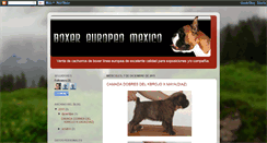 Desktop Screenshot of boxereuropeomexico.blogspot.com