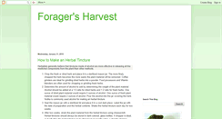 Desktop Screenshot of foragefood.blogspot.com