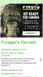 Mobile Screenshot of foragefood.blogspot.com