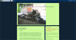 Desktop Screenshot of dostumuzhayvanlar.blogspot.com