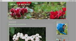 Desktop Screenshot of fleurs-plantes.blogspot.com