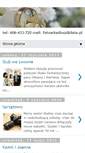 Mobile Screenshot of fotoarkadiusz.blogspot.com