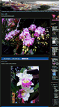 Mobile Screenshot of flowerssingapore.blogspot.com