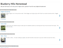 Tablet Screenshot of bluehillstead.blogspot.com