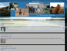 Tablet Screenshot of lilwranglersrescue.blogspot.com