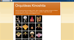 Desktop Screenshot of orquideas-kinoshita.blogspot.com