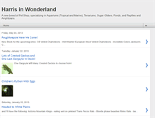 Tablet Screenshot of harrisinwonderland.blogspot.com