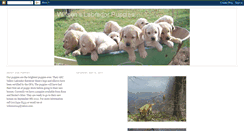 Desktop Screenshot of labradorretrieverpuppy.blogspot.com