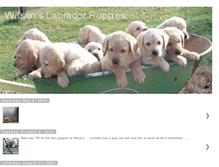 Tablet Screenshot of labradorretrieverpuppy.blogspot.com