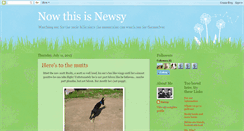 Desktop Screenshot of newsynew.blogspot.com