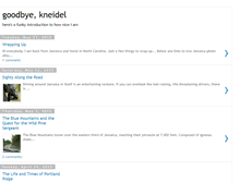 Tablet Screenshot of goodbykneidel.blogspot.com