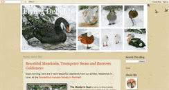 Desktop Screenshot of flyingdelights.blogspot.com