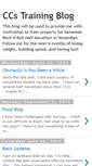 Mobile Screenshot of ccsfitnessnotes.blogspot.com