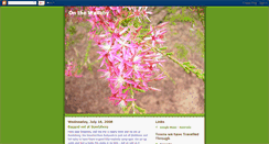 Desktop Screenshot of nerridastrip.blogspot.com