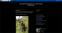 Desktop Screenshot of macrofotomor.blogspot.com