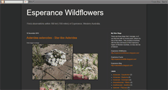 Desktop Screenshot of esperancewildflowers.blogspot.com