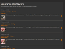 Tablet Screenshot of esperancewildflowers.blogspot.com