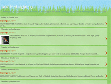 Tablet Screenshot of bocbirdsightings.blogspot.com