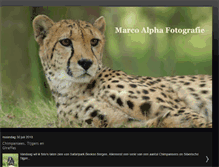Tablet Screenshot of marcoalpha.blogspot.com