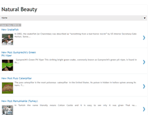 Tablet Screenshot of naturalb3auty.blogspot.com