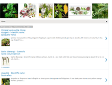 Tablet Screenshot of herbalmedicineph.blogspot.com