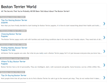 Tablet Screenshot of bostonterrierpups.blogspot.com