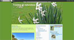 Desktop Screenshot of naturalfonso.blogspot.com