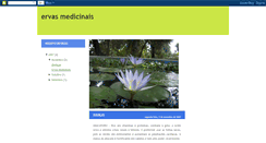 Desktop Screenshot of ervasmedicinaispt.blogspot.com