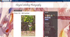 Desktop Screenshot of chrystalschillingphotography.blogspot.com