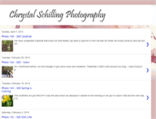 Tablet Screenshot of chrystalschillingphotography.blogspot.com