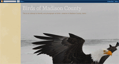 Desktop Screenshot of madisonbirds.blogspot.com