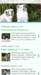 Mobile Screenshot of farwests-sheltie.blogspot.com