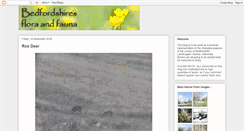 Desktop Screenshot of bedsflorafauna.blogspot.com