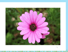 Tablet Screenshot of cindy-artesdecorativas.blogspot.com