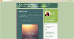 Desktop Screenshot of blueforestsoapbox.blogspot.com