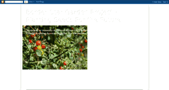 Desktop Screenshot of borderstargarden.blogspot.com
