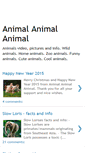 Mobile Screenshot of animal-animal-animal.blogspot.com