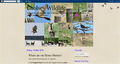 Desktop Screenshot of cholseywildlife.blogspot.com